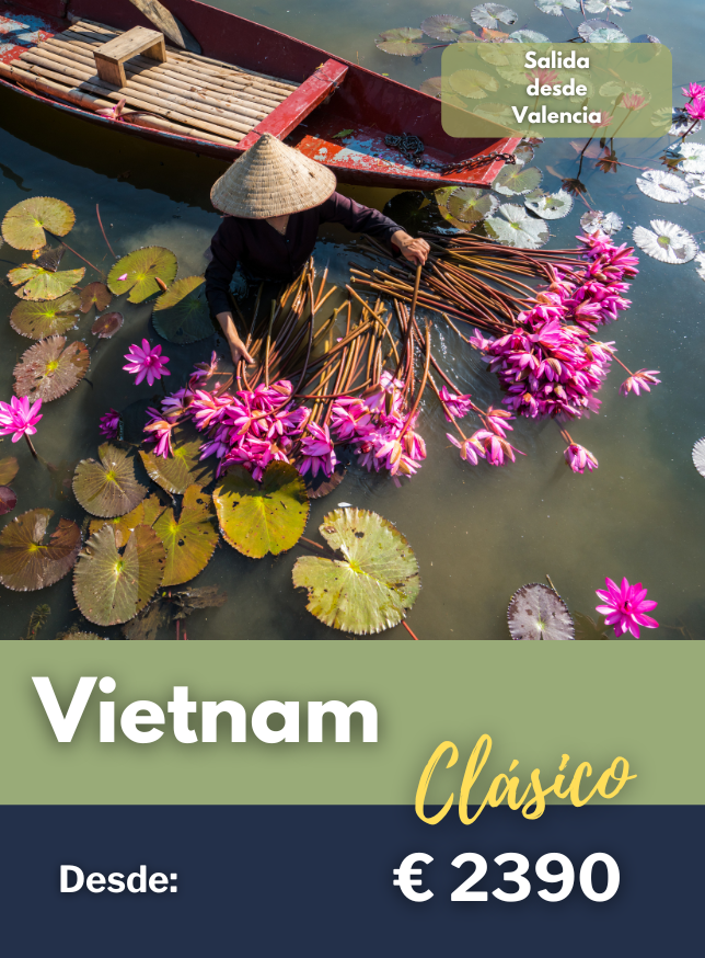 Vietnam clasico