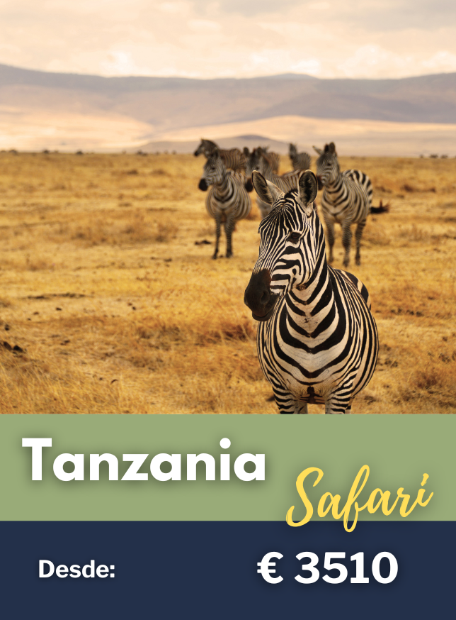 Tanzania Safari