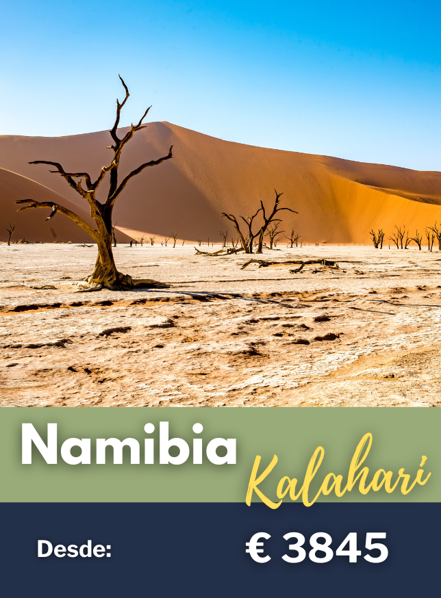 Namibia viaje 2025